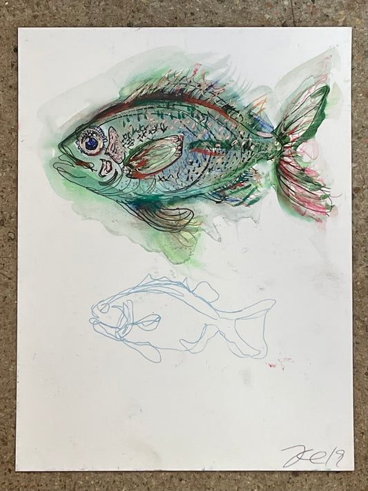 Fish on Paper